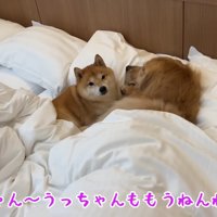 うにくんも隣に来た