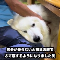 本当のおじいちゃんと孫みたい♡
