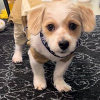 似合い過ぎてる…！！