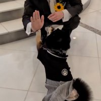 タッチするラックくん