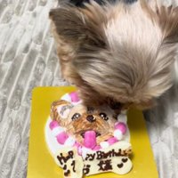 お誕生日おめでとう