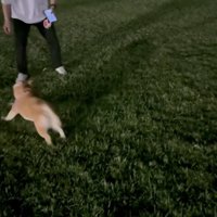 楽しくてたまらない…♪