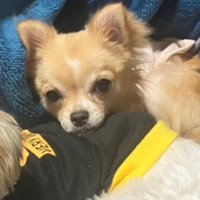 リラックスした表情