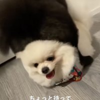 上に乗られてる