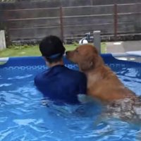飼い主さんの顔を嗅ぐ犬