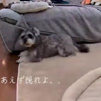 ソファに隠れて避難！！