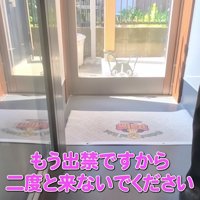 噛みついて出禁になった…