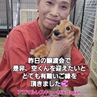 人に抱かれる犬