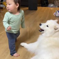 こはくちゃんから甘えることも