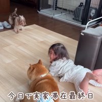 実家にお泊り