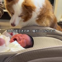「私もお世話したい！」