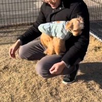 しゃがんでいる男性の膝に飛び乗る犬