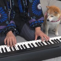 ママさんの手の動きを観察