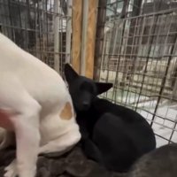 隅っこで動かない凛月ちゃん