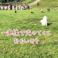 華麗なスタート！！