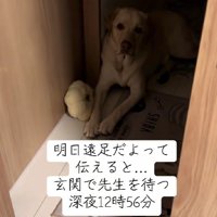 深夜から玄関で待機