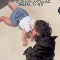 ツムギちゃんと娘さん8