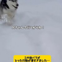 「兄ちゃん、僕に任せて！！」