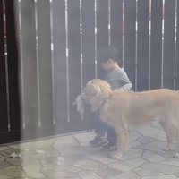 ぬいぐるみを持って男の子に寄り添う犬