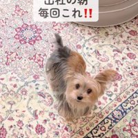 毎朝怒られている