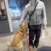 家族愛いっぱいのライチくん