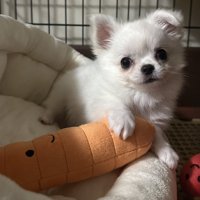お迎え