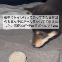 「もう深夜だよ…」