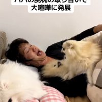 やめてほしいパパ