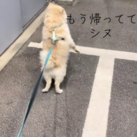 「もういない…」