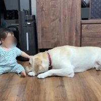 見守り