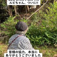 山の中から現れた犬