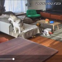 「本当に誰もいないの？」