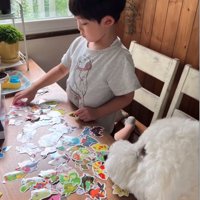 散歩する男の子と大型犬