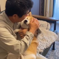目を開けて男性を見つめる犬