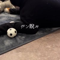ピチピチ服を着せてみた