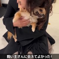 とっても幸せそう♡