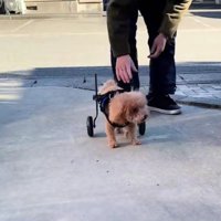 根気強くリハビリを継続
