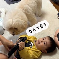 孫を預かった時のチャイちゃん8