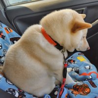居眠り