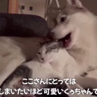 本当の姉妹みたい！！