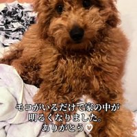 家の中が明るくなる存在♪