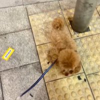 方向転換するうーろんくん