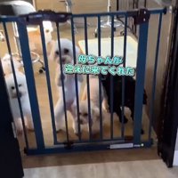 はるちゃん＆なつちゃんのお迎え3