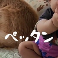 ぺったん、ぺったん