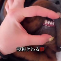 唇をこじあけても…