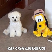 少し変わった座り方