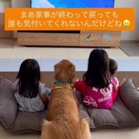 投稿主さんに気が付かない！