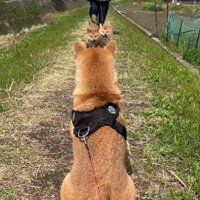 「ママ～！！」