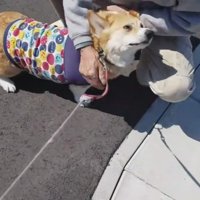 「やっぱり優しい人だった♡」