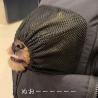 リュックに入るポテトちゃんとウニちゃん4